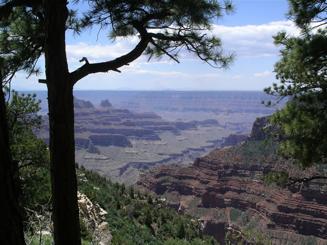 images/Hiking North Rim  to Bright Angel Point (3).jpg